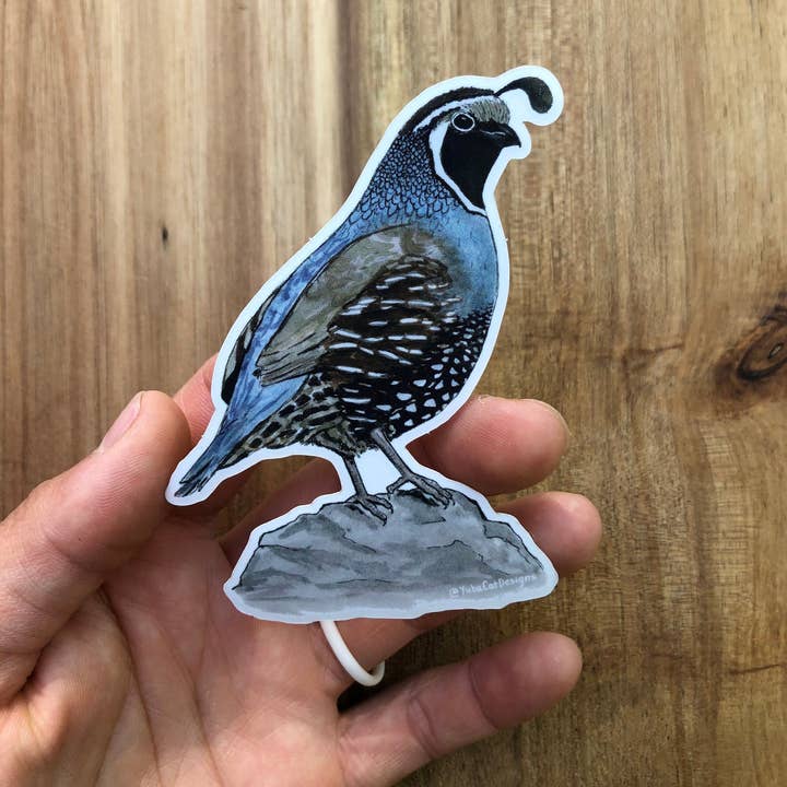 YubaCat Designs - Wholesale Sticker - California Quail sticker1