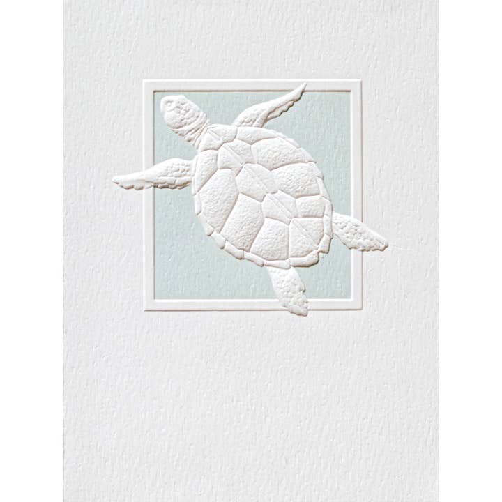 Sea Turtle Splash - Petite BLANK Box Note for wholesale by Pumpernickel Press