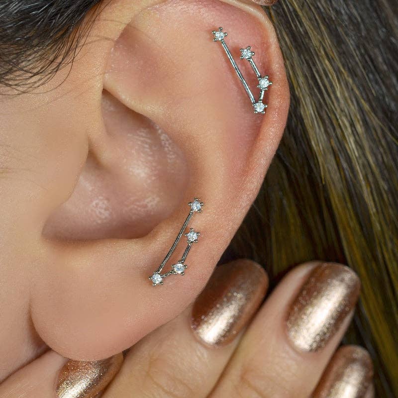 StockJWL - Wholesale Stud/Post Earrings - 12 Zodiac Earrings, Constellation Stud Earring Stud Piercing Tragus Helix Lobe and Cartilage Silver And Gold7