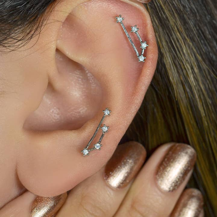StockJWL - Wholesale Stud/Post Earrings - 12 Zodiac Earrings, Constellation Stud Earring Stud Piercing Tragus Helix Lobe and Cartilage Silver And Gold7