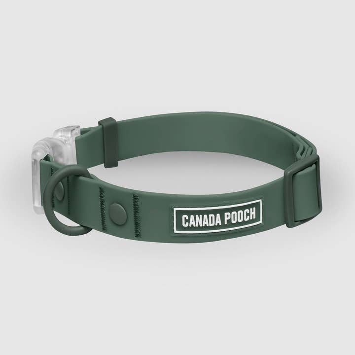 Waterproof Dog Collar (Forest Green) for wholesale by Canada Pooch