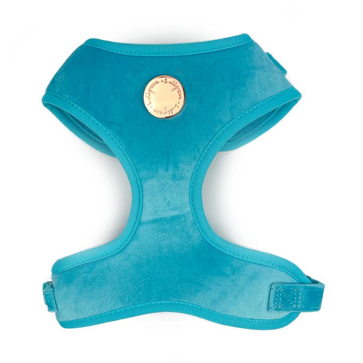 Velvet Dog Harness // Caribbean Blue for wholesale by Holly and Co Australia Pty Ltd