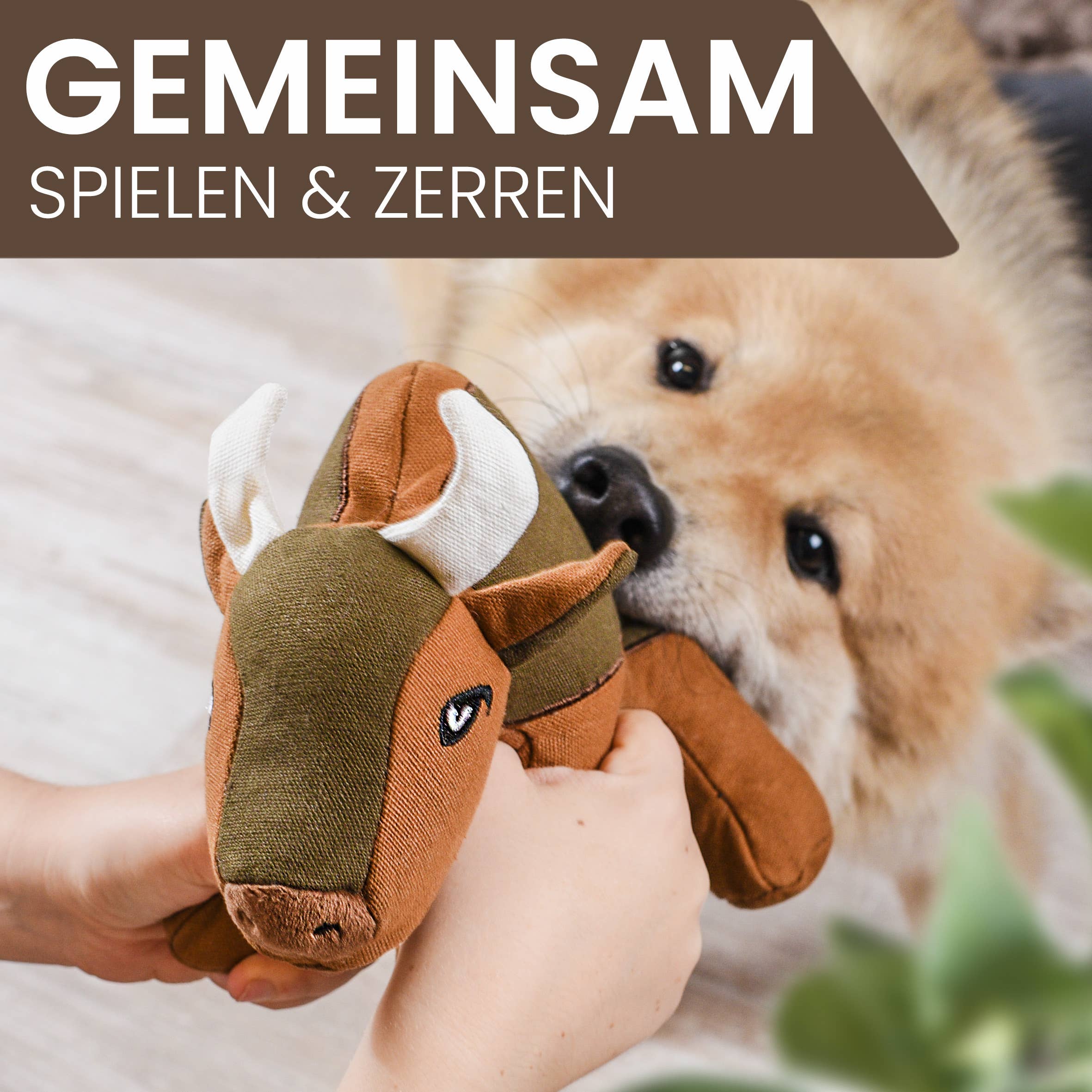 ne&no - Wholesale Pet Plush Toy - Dog - ne&no® Durable Dog Toy with Squeaker - Buffalo Billie3