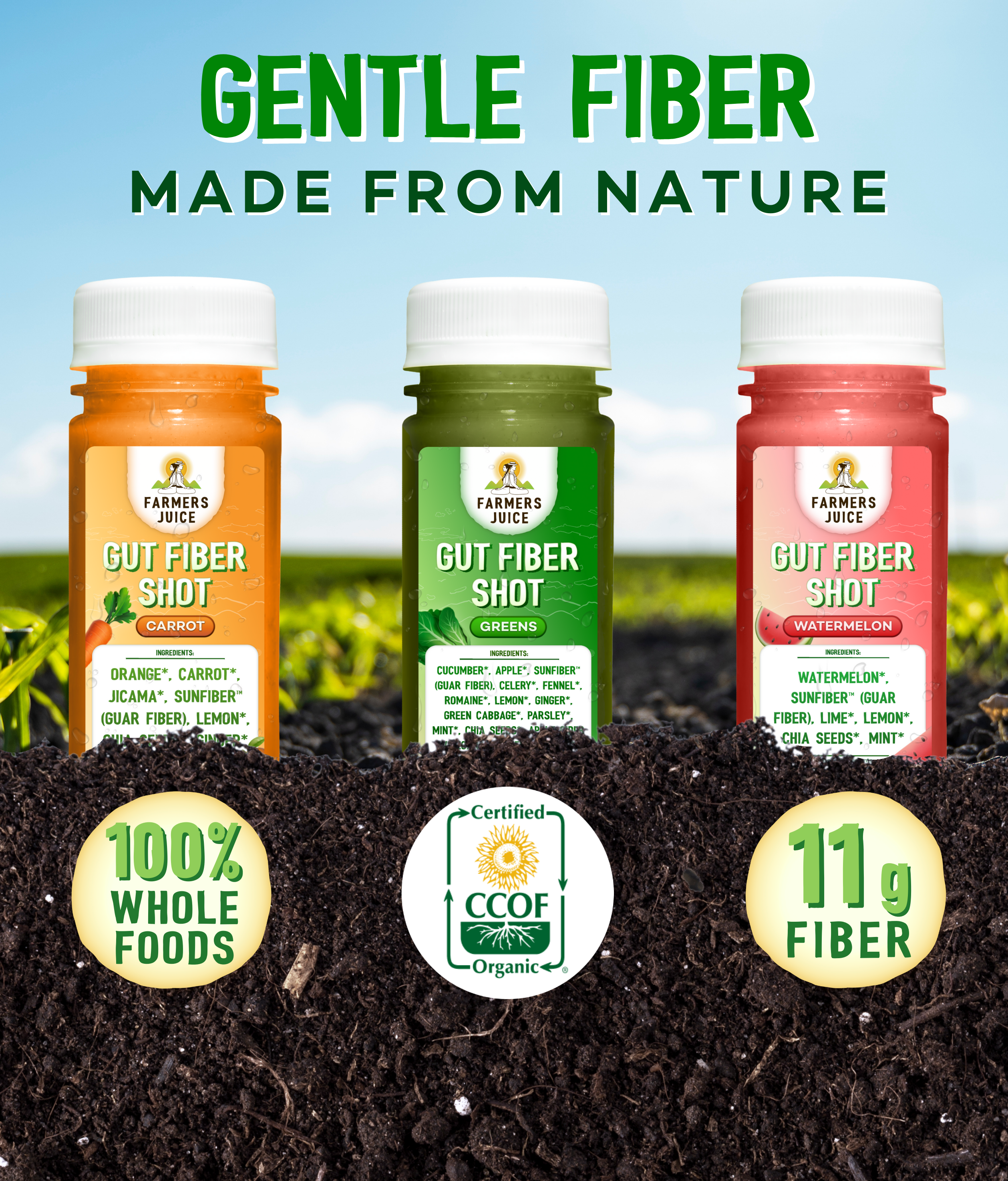 Farmer's Juice - Wholesale Wellness Juice/Tonic - Gut Fiber Shot Blueberry | 24 Shots3