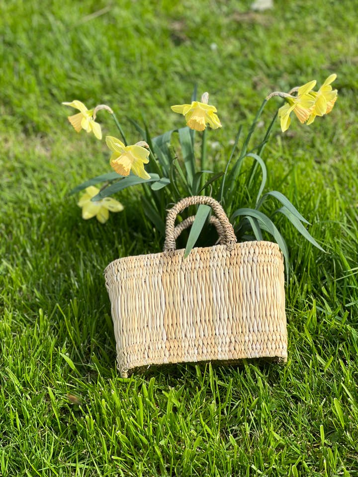 Bürstenkörbe für Kinder für den Großhandel von droguerie legrand