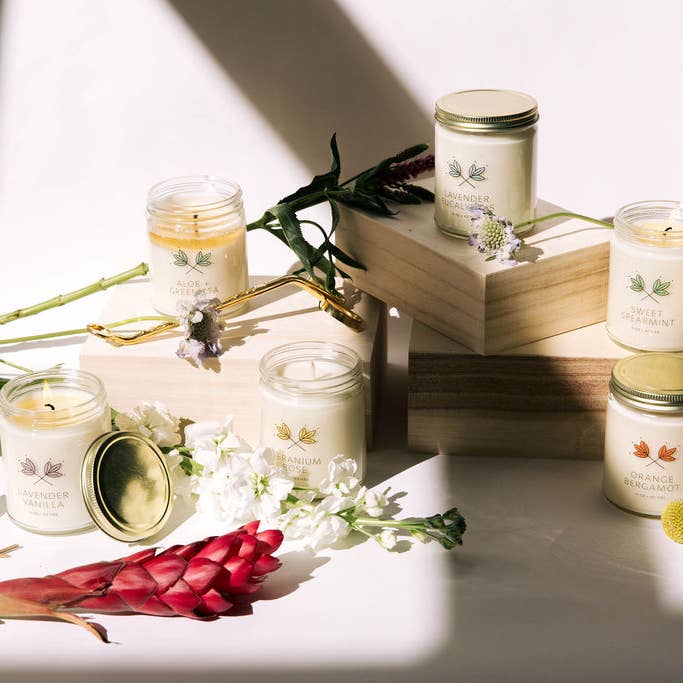 Handmade Habitat - Venta al por mayor Velas en tarros - Tarro de vela de cera de soja exclusivo de aloe y té verde