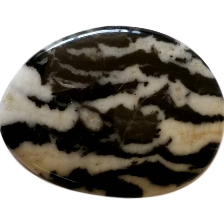 Script Jasper Palette for wholesale by WLM