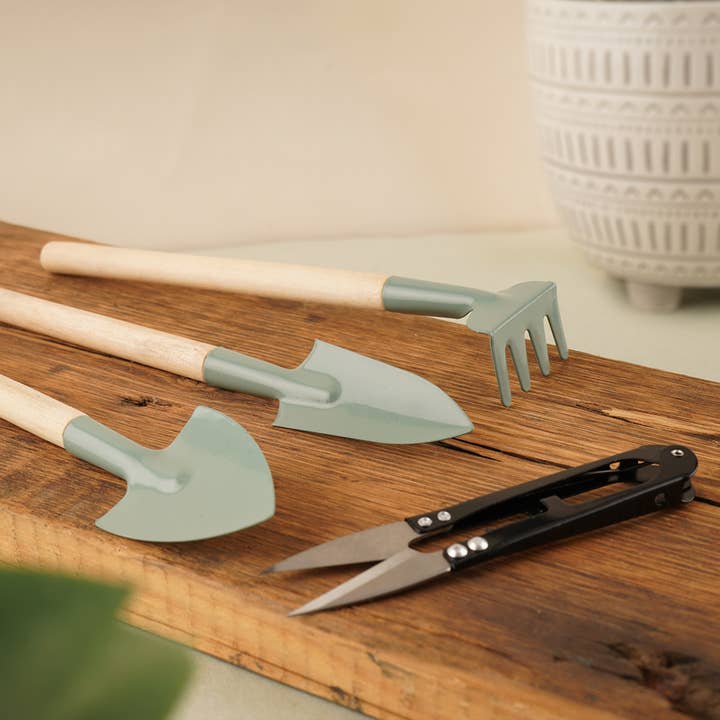Le kit d'entretien des plantes d'intérieur Potting Shed | Jardinage pour la vente par CGB Giftware