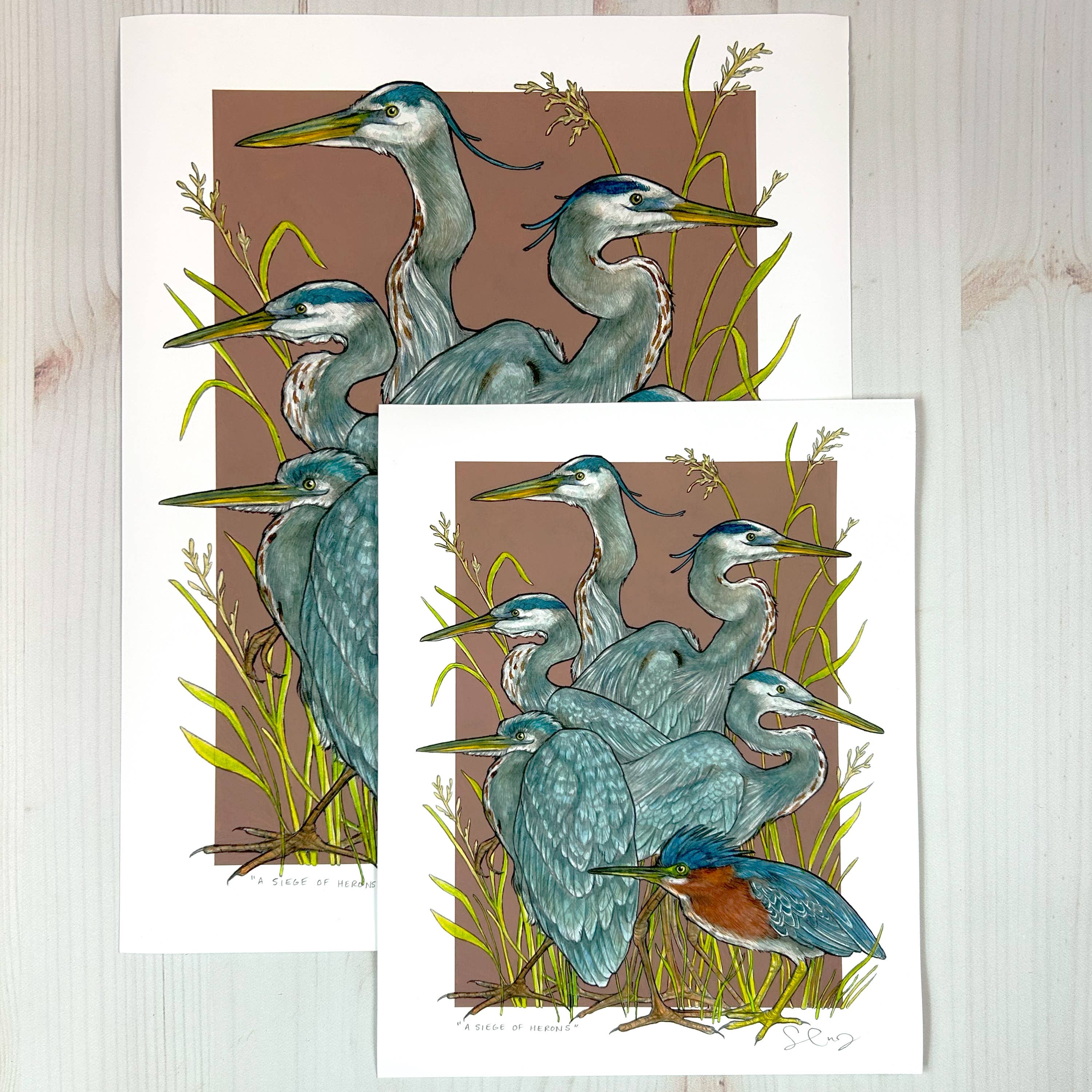 Sarah Draws Things - Wholesale Art Print - A Siege of Herons - Archival Print 6