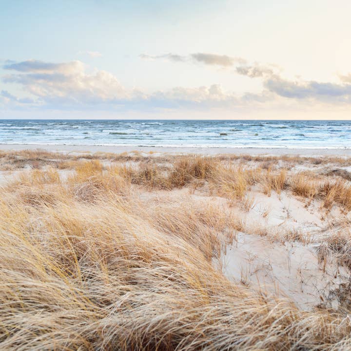 Milkhouse Candle Company - Wholesale Jar/Filled Candle - 16 oz Butter Jar Candle: North Shore5