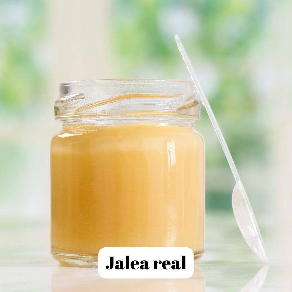 L'ABELLA MIEL – Engroshandel Honning – L'Abellamel frisk gelé royale 20 g2