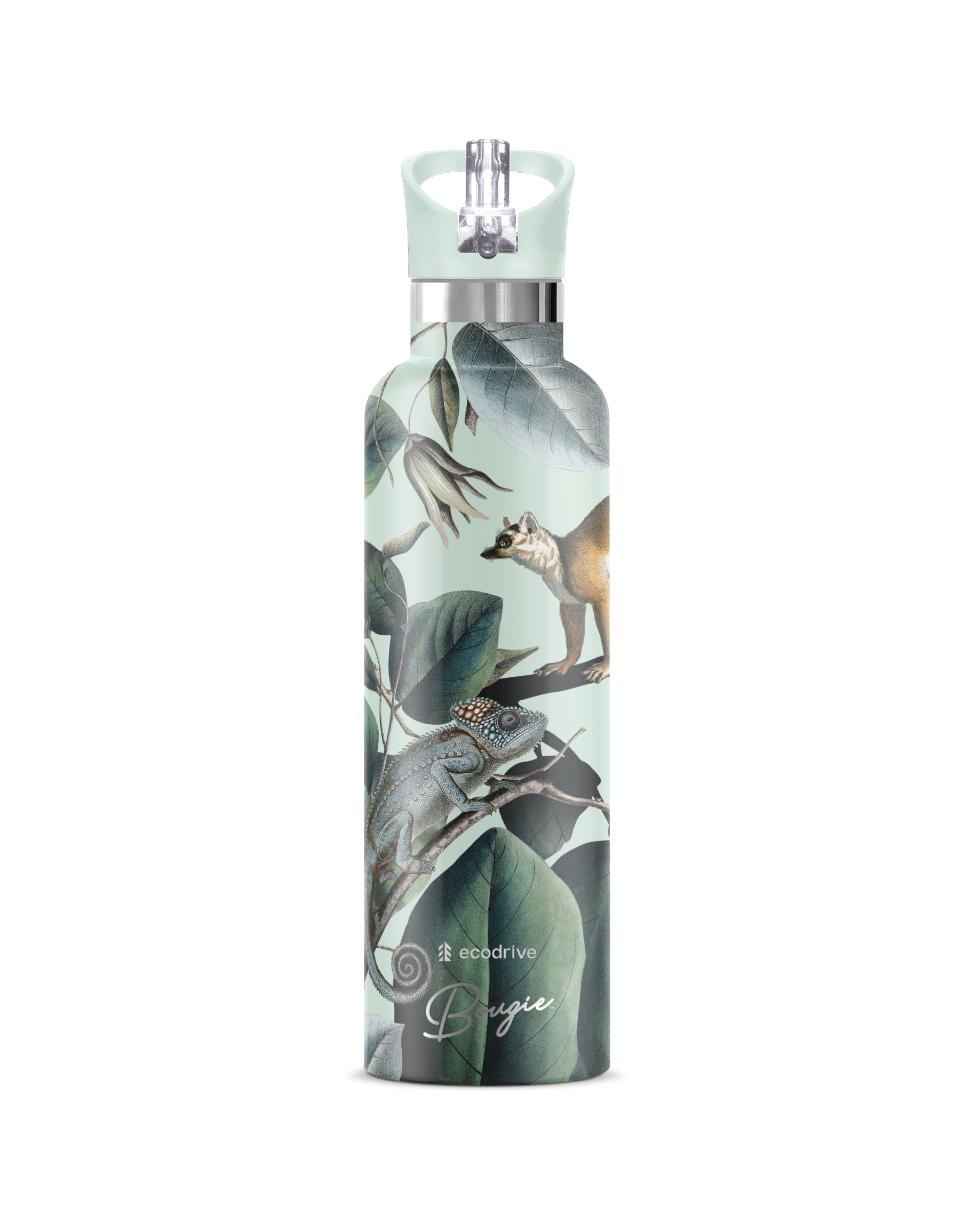 My Bougie Bottle - Wholesale Waterfles - EcoDrive Lemur – Regenwoud Geïsoleerde Waterfles | 750ml6