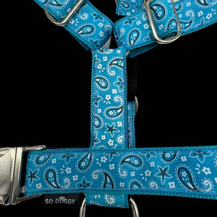 ARNÉS PARA PERROS | BILLY para venta al por mayor de So-Doggy