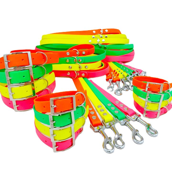 Ensemble collier et laisse imperméables pour chien - Collection Neon pour la vente par Trinkety Paws