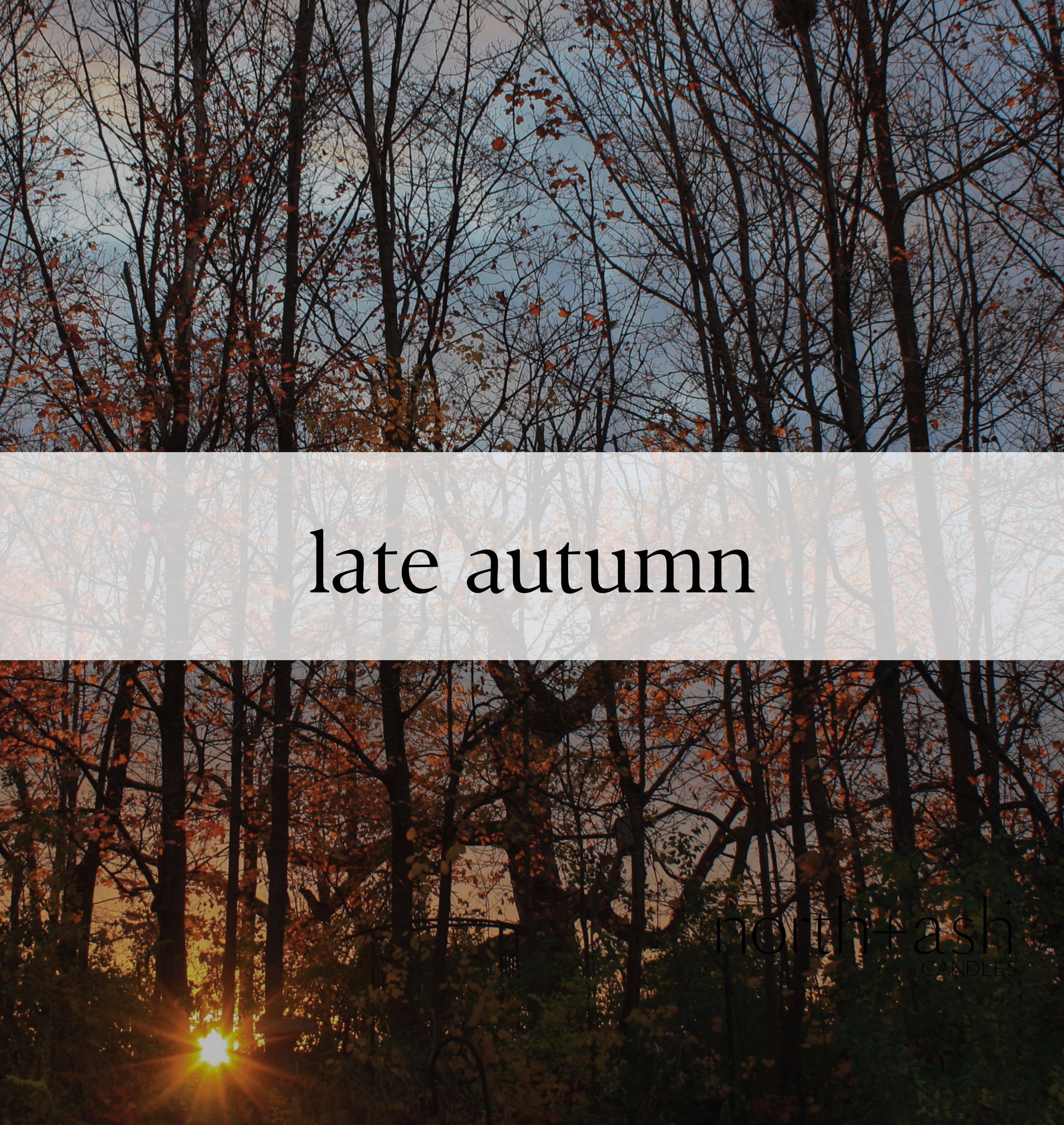 North + Ash Candles - Wholesale Jar/Filled Candle - Late Autumn | Cherry, Vanilla, Cedarwood, Ripened Plum2