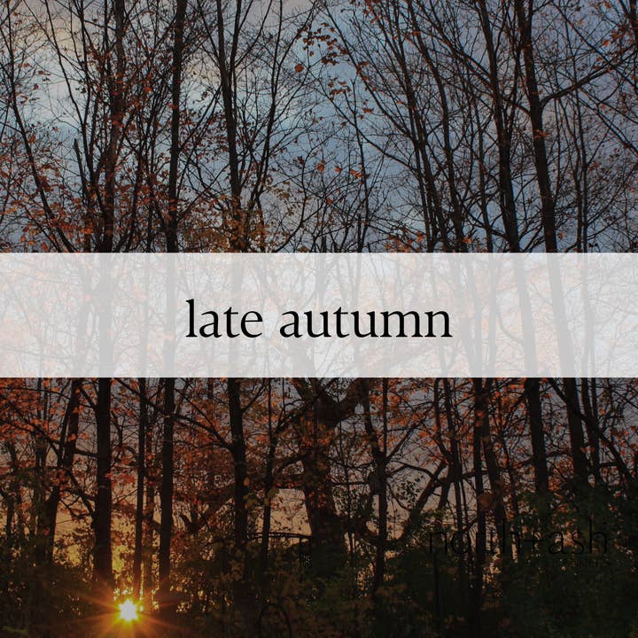 North + Ash Candles - Wholesale Jar/Filled Candle - Late Autumn | Cherry, Vanilla, Cedarwood, Ripened Plum2