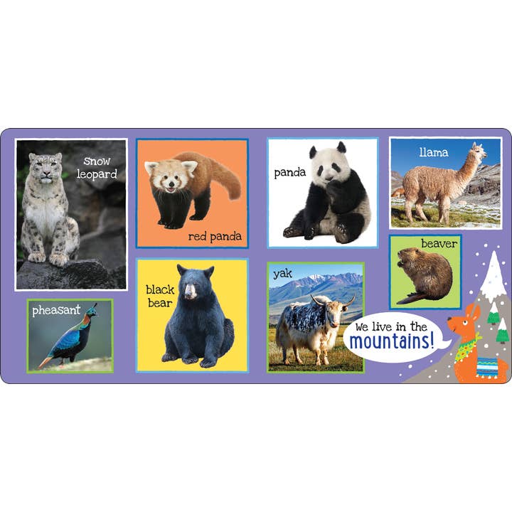 Peter Pauper Press - Wholesale Baby & Toddler Book (0-2) - My First 101 ANIMALS Board Book5