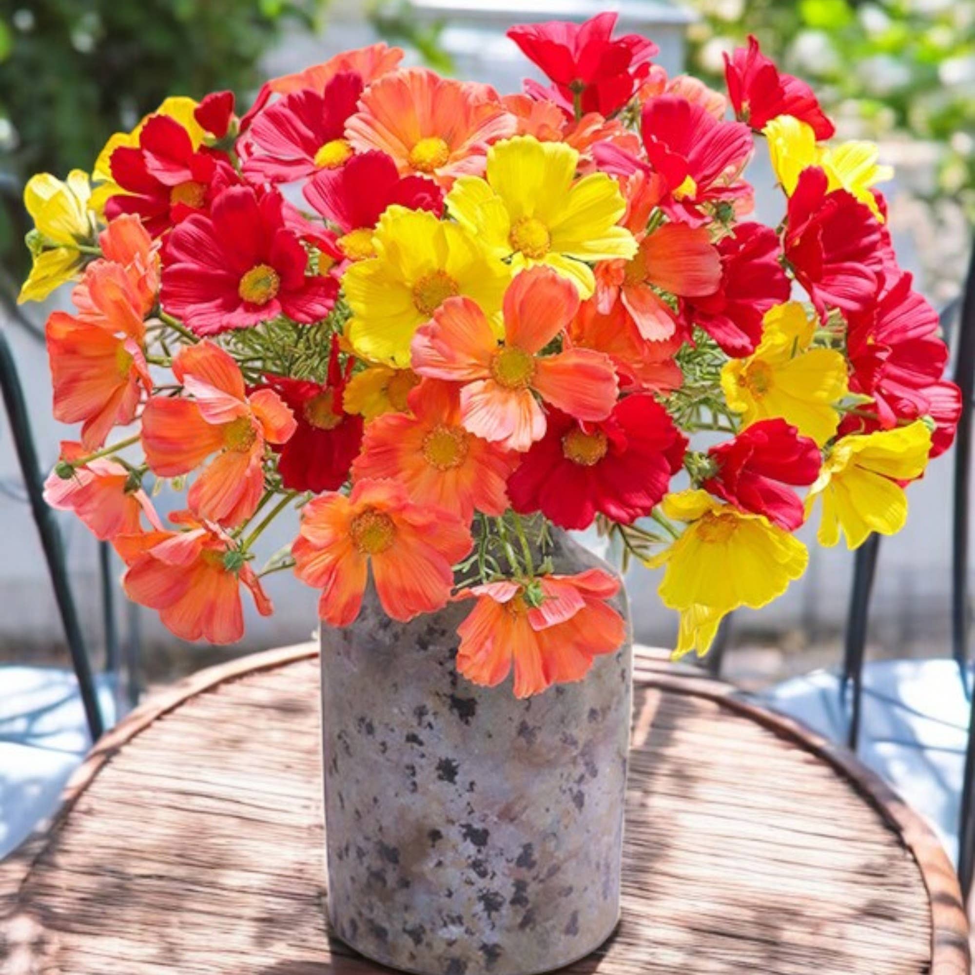 Angel Isabella - Vente Fleurs artificielles - Fleurs de cosmos réalistes de 20" - couleurs vives et réalistes5