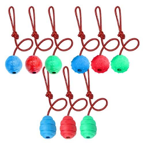 Deluxe Import Trading – Corda - Cão por atacado – Brinquedo de Corda 3 Estilos & 3 Cores Sortidos