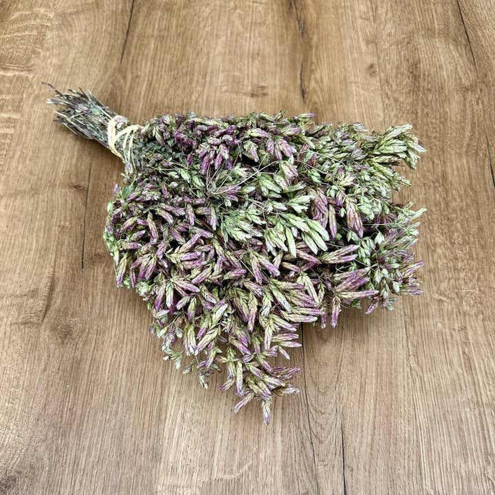 Lovejoy Farms Premium Dried Flowers - Wholesale Dried/Pressed Flowers - Santa Cruz Oregano