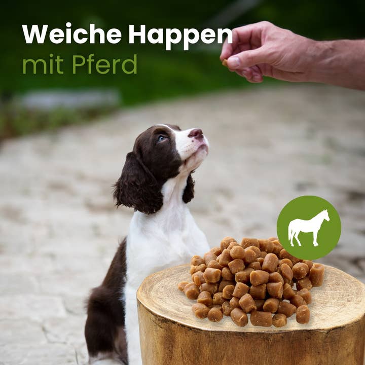 Kauartikel.com GmbH - Vendita all'ingrosso Snack - Cani - Bocconcini morbidi al cavallo per cani2