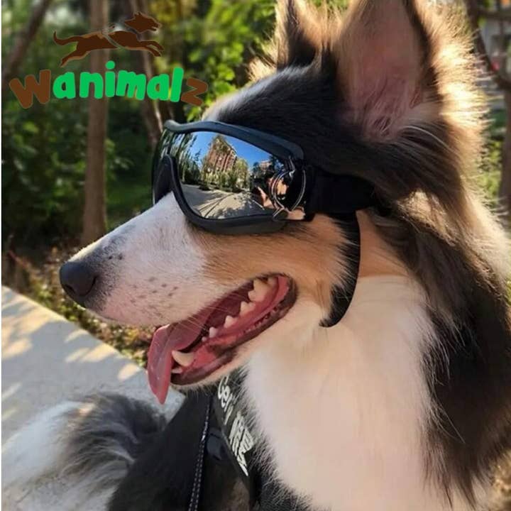 Wanimalz - Wholesale - Dog glasses | SUNDOG range3