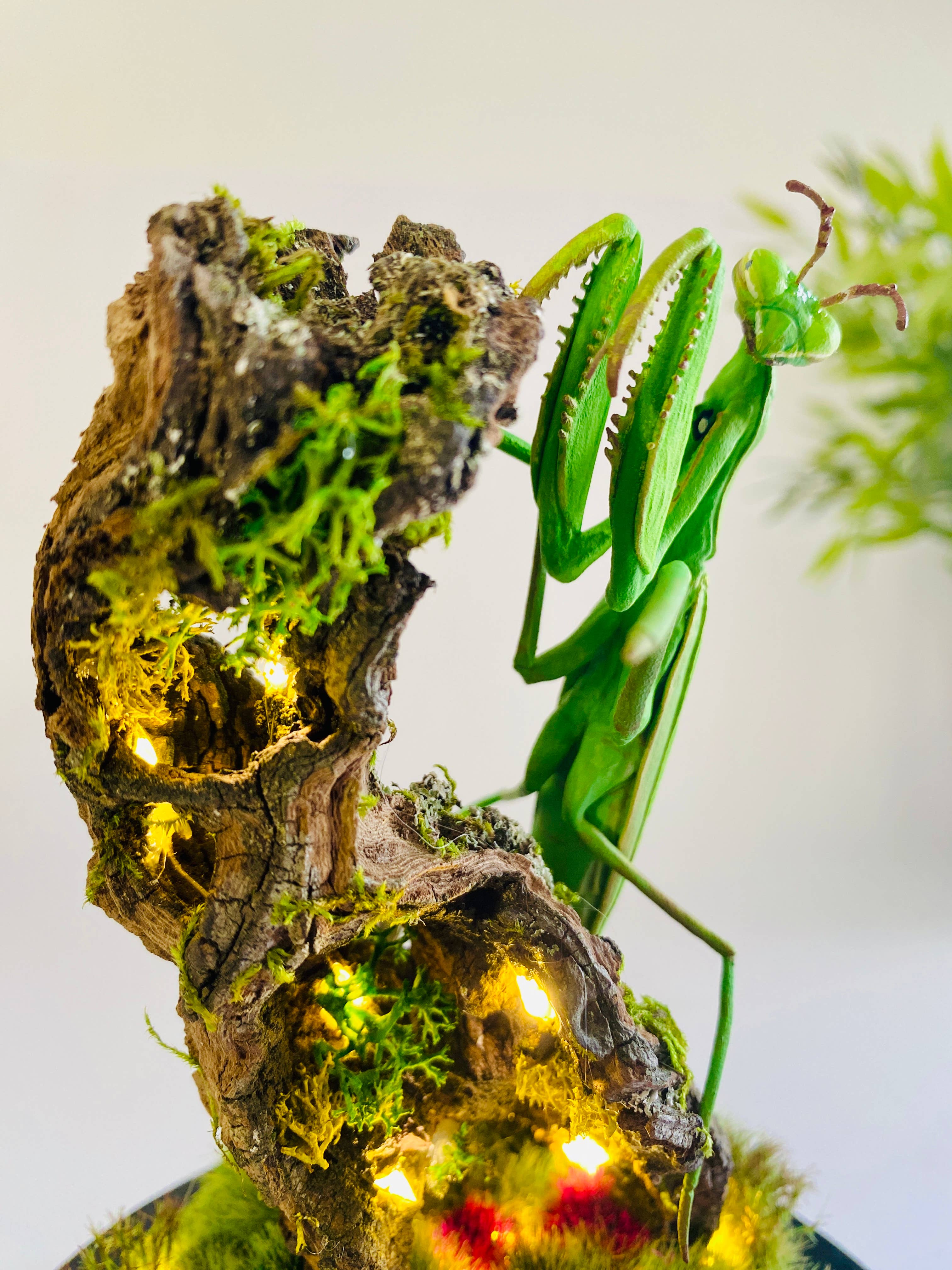 Thingx - Wholesale Decorative Tabletop Object - The praying mantis, curiosity under a glass dome5