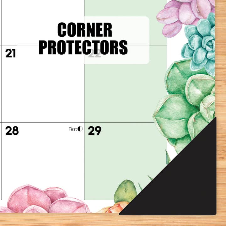 Willow Creek Press & Gifts - Wholesale Calendar - Succulents Academic July 2025 - June 2026 17" x 12" Small Monthly Desk Pad2