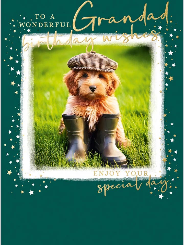 Nonno Cappello Piatto Cucciolo per la vendita all'ingrosso da parte di Abacus Cards and Clare Maddicott Publications