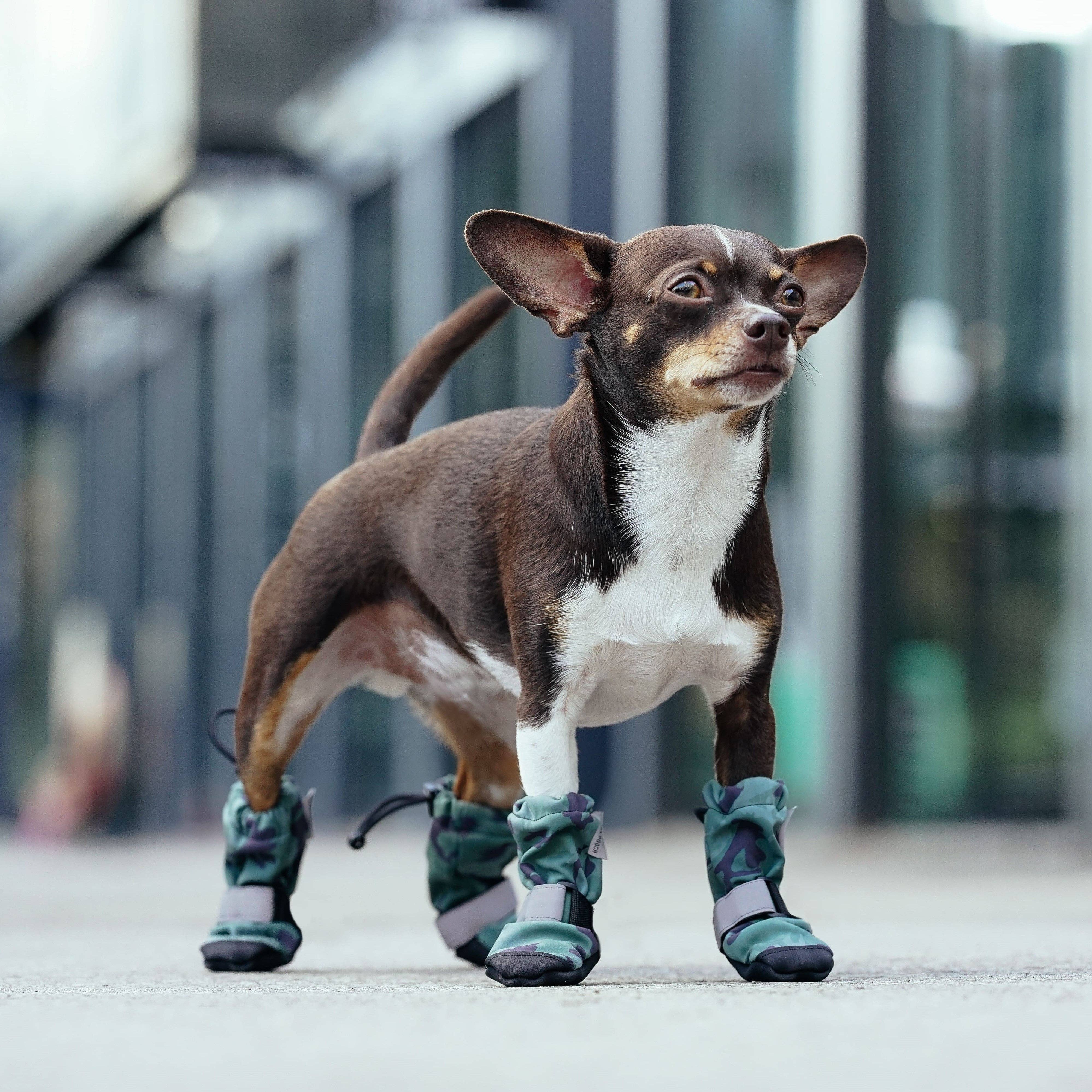 Canada Pooch - Wholesale Pet Boots - Dog - Soft Shield Boots- Dog Boots4