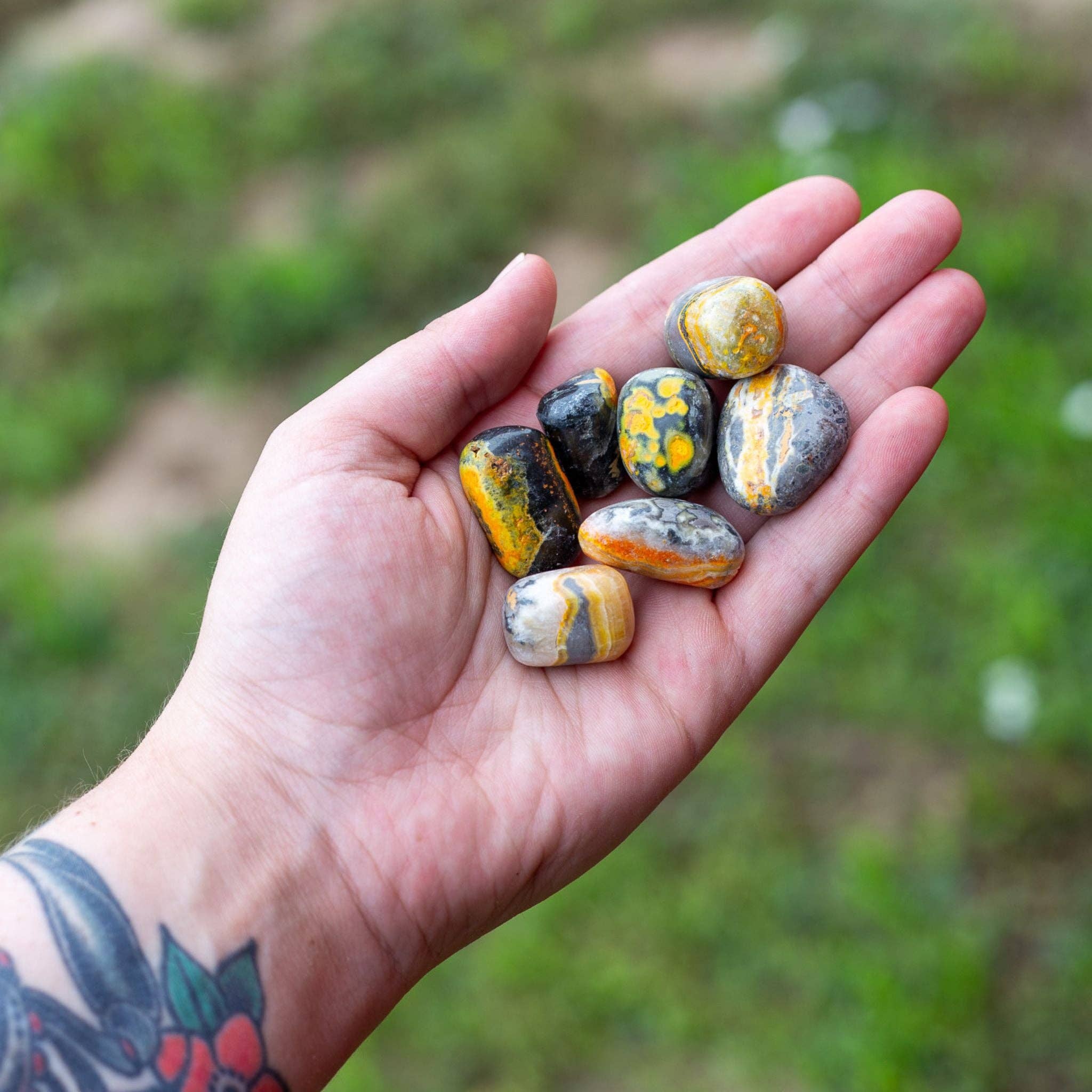 Down To Earth - Wholesale Spiritual Stone/Crystal - Bumblebee Jasper Tumbled. 1lb.2