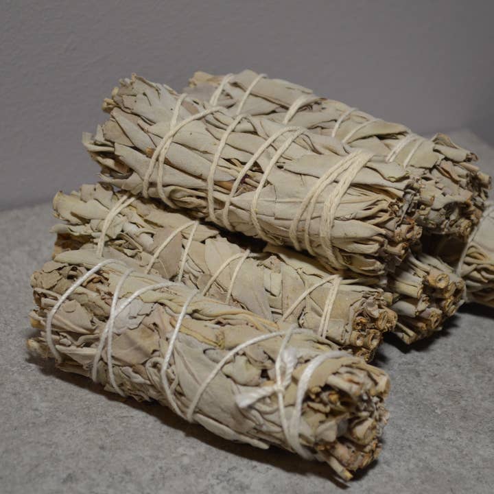 White Sage 4" for wholesale by POSII