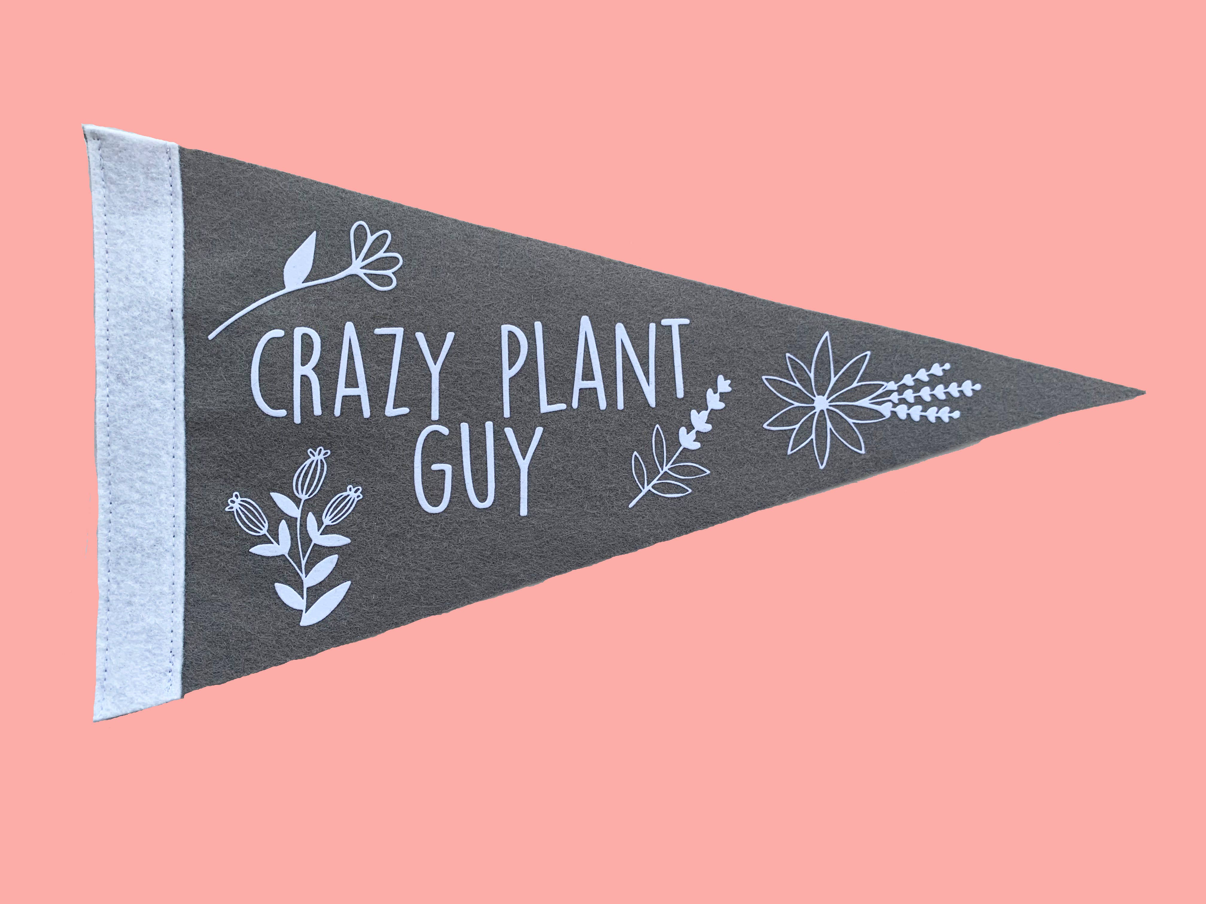Flair City Supply Co - Wholesale Flag - Crazy Plant Guy Pennant1