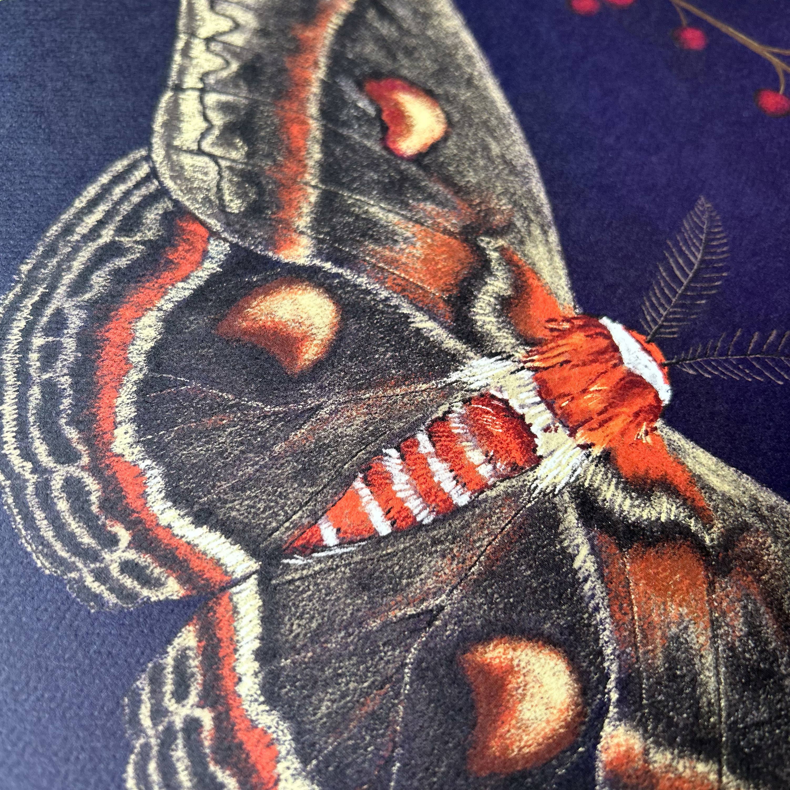 Moss and Mineral - Wholesale Art Print - Cecropia Moth, Scientific Illustration Botanical Print2