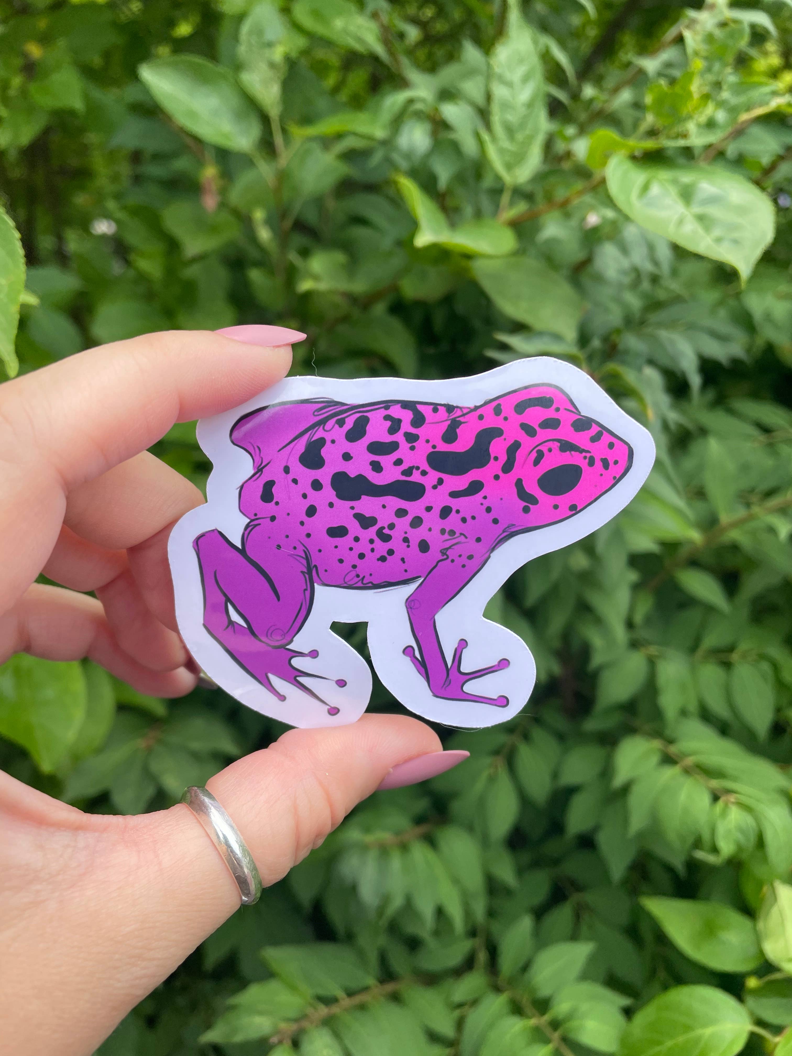 A Dresser Drawer - Wholesale Sticker - Poison Dart Frog Sticker