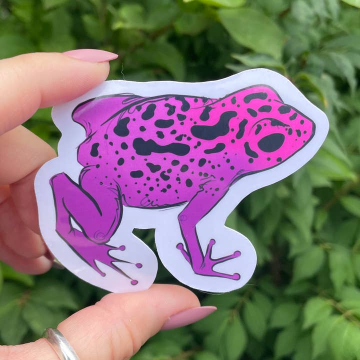 A Dresser Drawer - Wholesale Sticker - Poison Dart Frog Sticker0