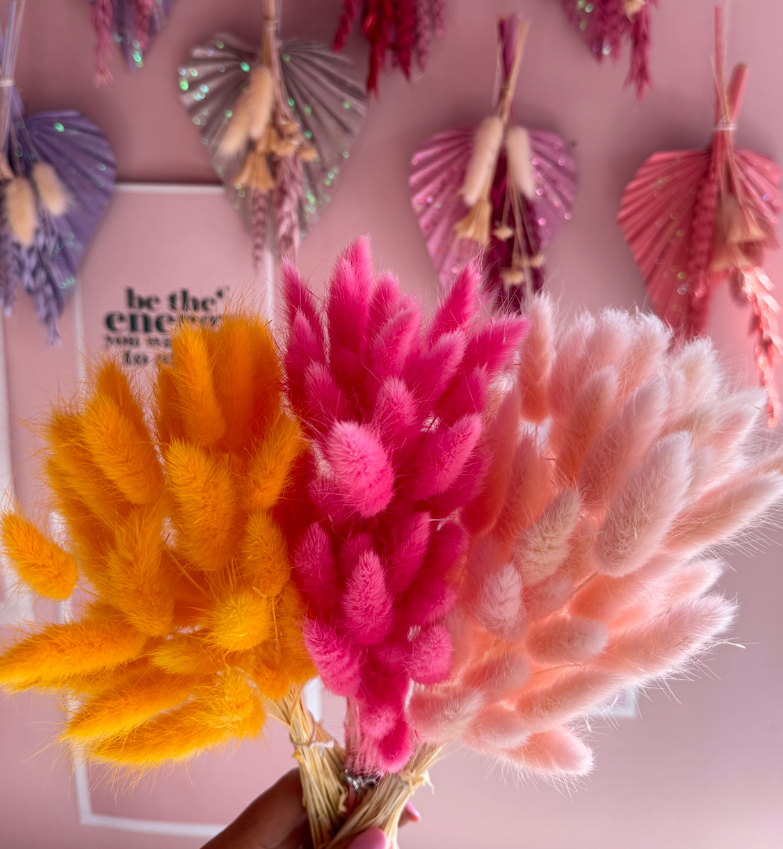 Petals & Pampas – Großhandel Getrocknete/gepresste Blumen – Bunny Tails – Blau, Pink, Lila, Weiß, Orange4