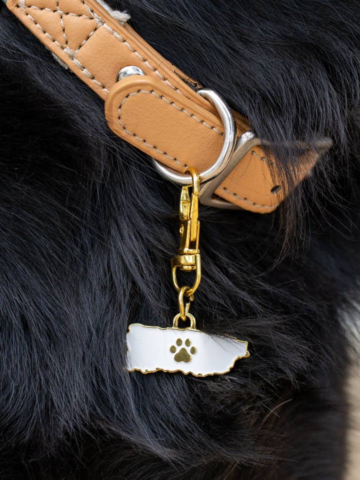 Abalorio para mascotas: Puerto Rico, blanco para venta al por mayor de So Loved Paws