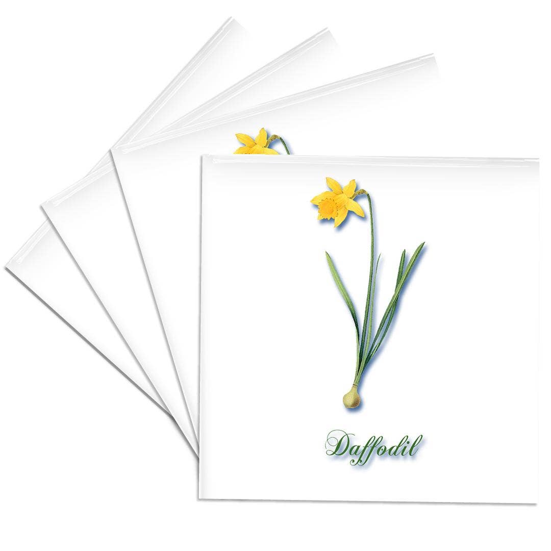 3dRose - Wholesale Coasters - 3dRose, Daffodil, Botanical Print Bright Yellow Daffodil Early Spring Flower, Coaster0