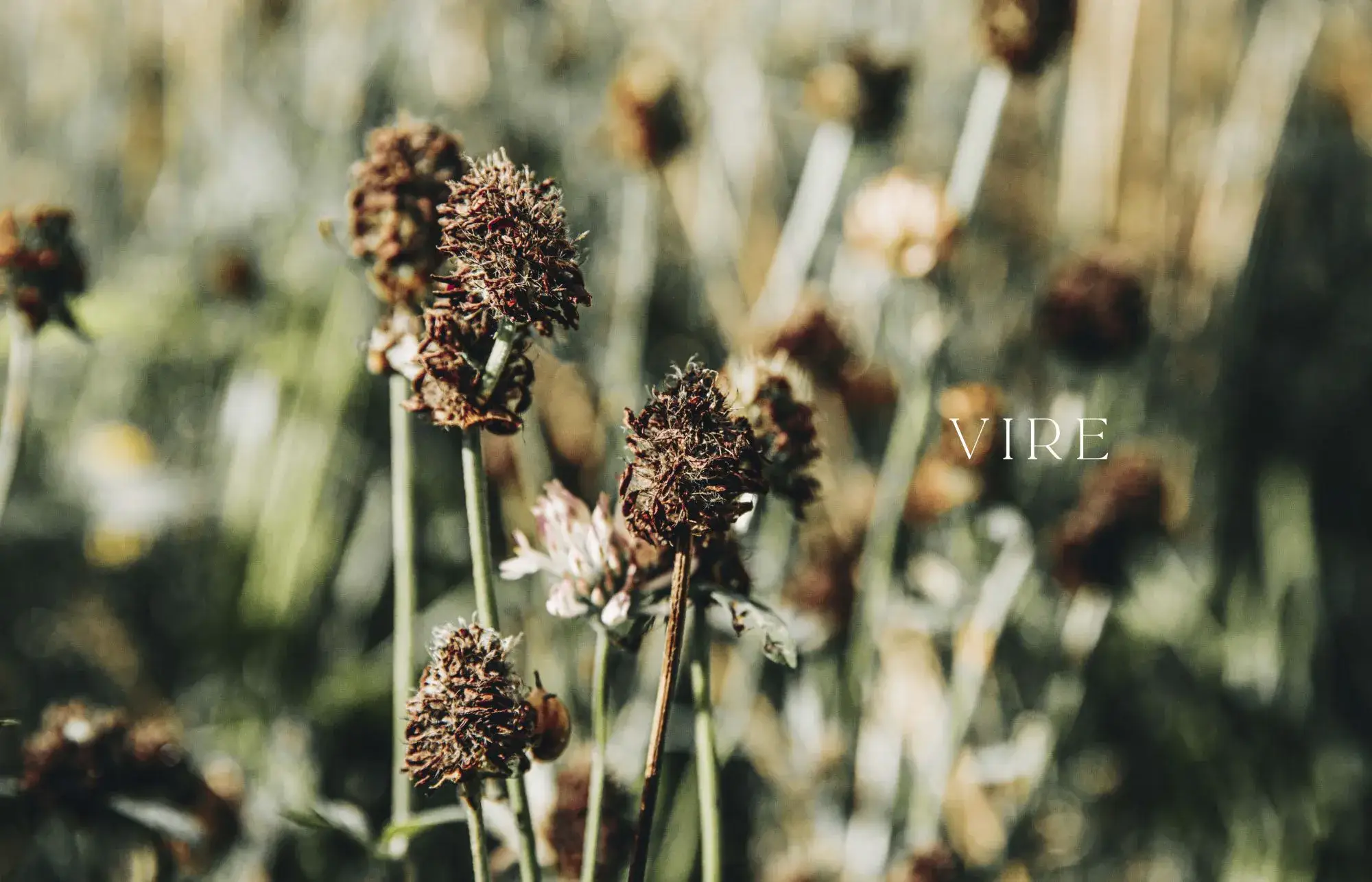 Cozy Publishing - Wholesale Crafts, Hobbies & DIY Book - Urban Knit Easy2