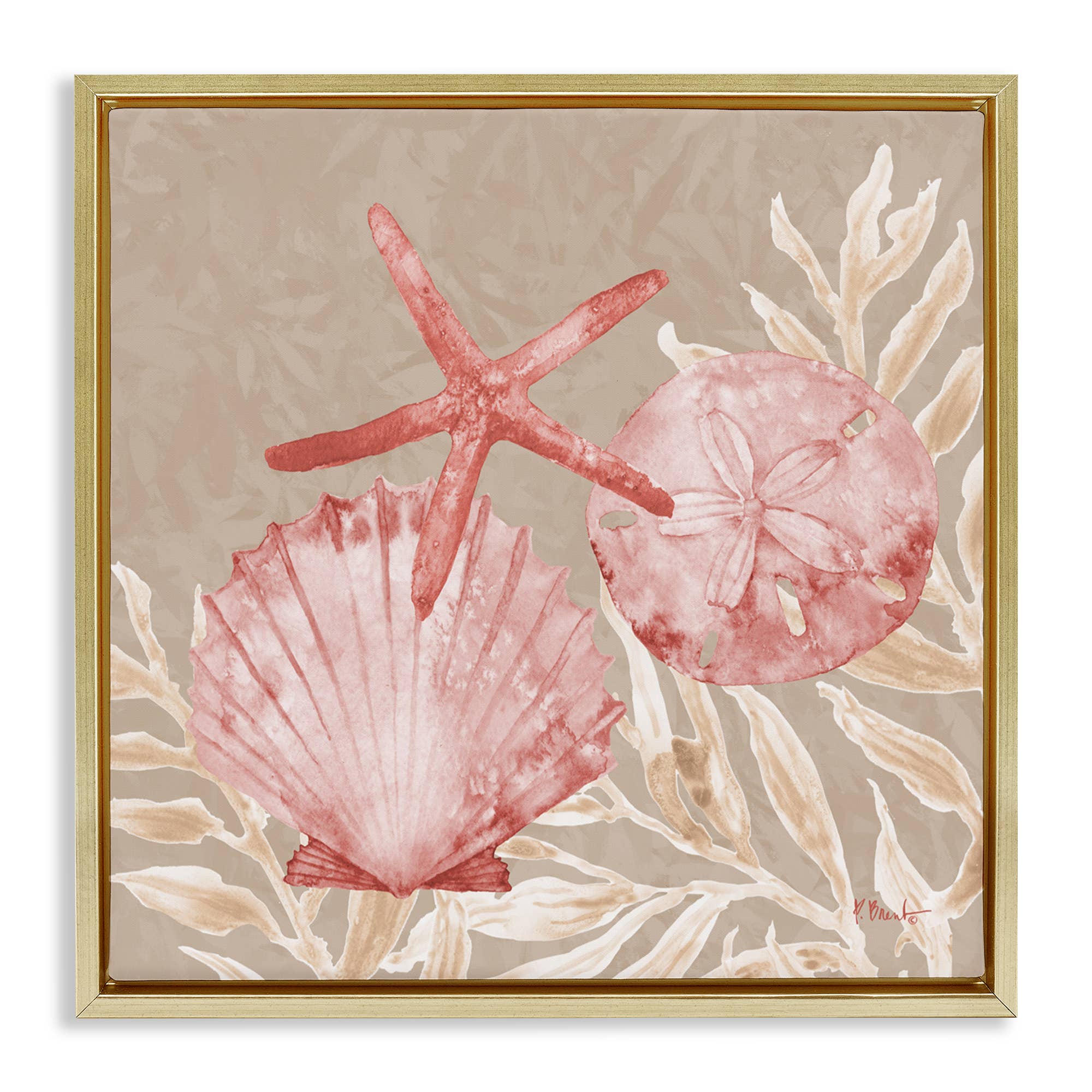 Stupell Industries - Vendita all'ingrosso Cartello da parete - Conchiglie di Tampico e Stelle Marine - Arte da Parete Incorniciata24