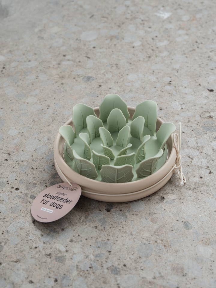 Planter Slow Feeder for wholesale by dexypaws