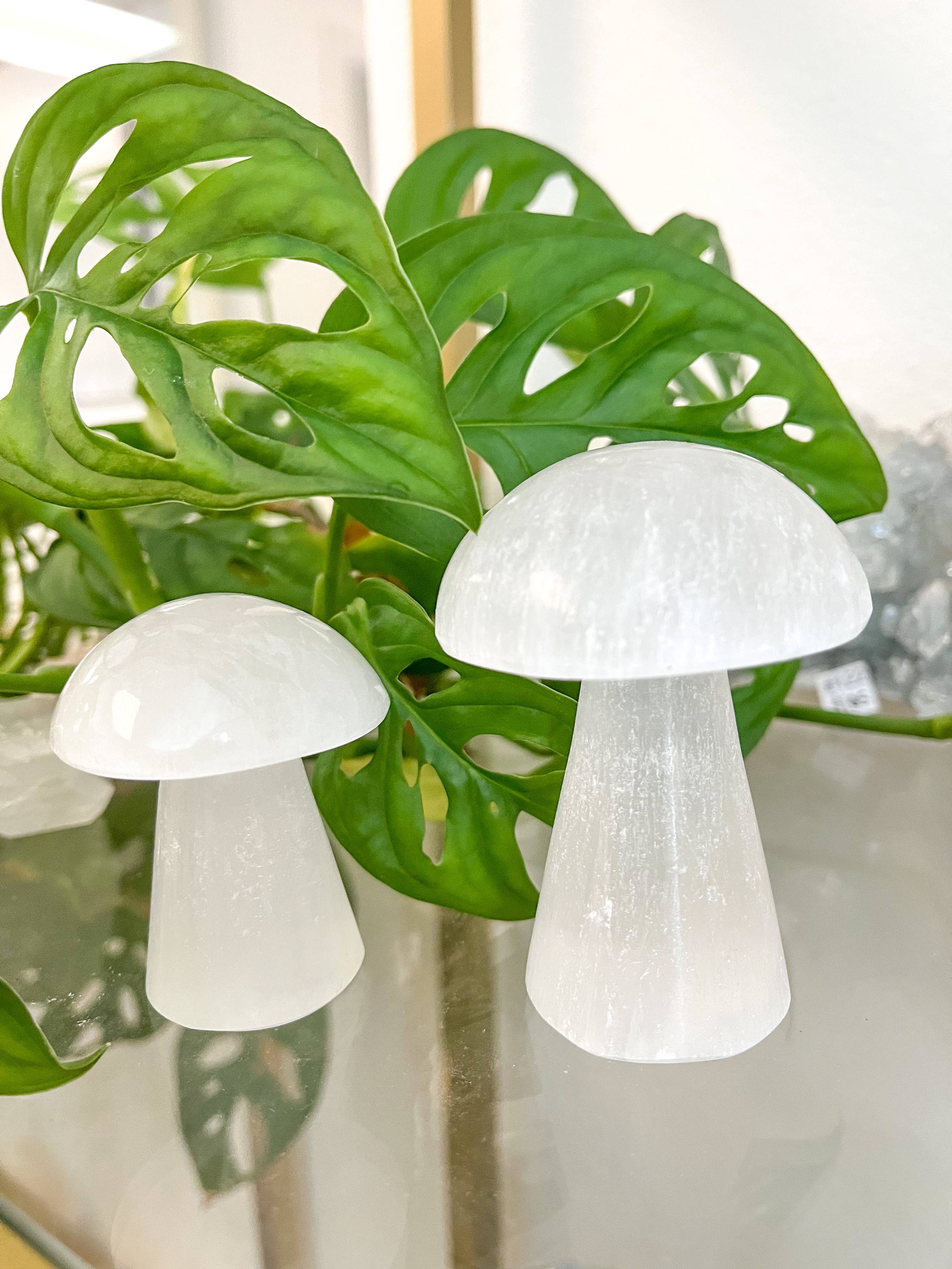 Fractalista Designs - Wholesale Spiritual Stone/Crystal - $3 White Selenite Crystal Mushroom Decor Mother's Day Gift4