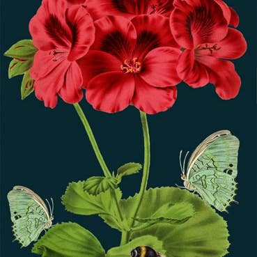 Madame Treacle – wholesale Everyday greeting card – RS129P ~ Blank Midnight Botanical Greeting Card1