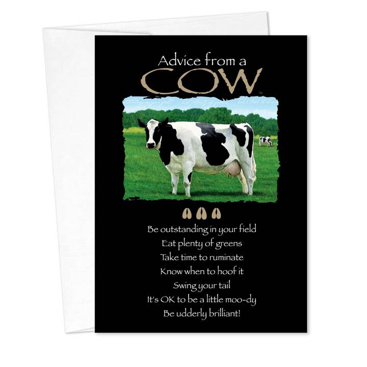 Advice from a Cow Birthday Card for wholesale by Advice for Life by Your True Nature