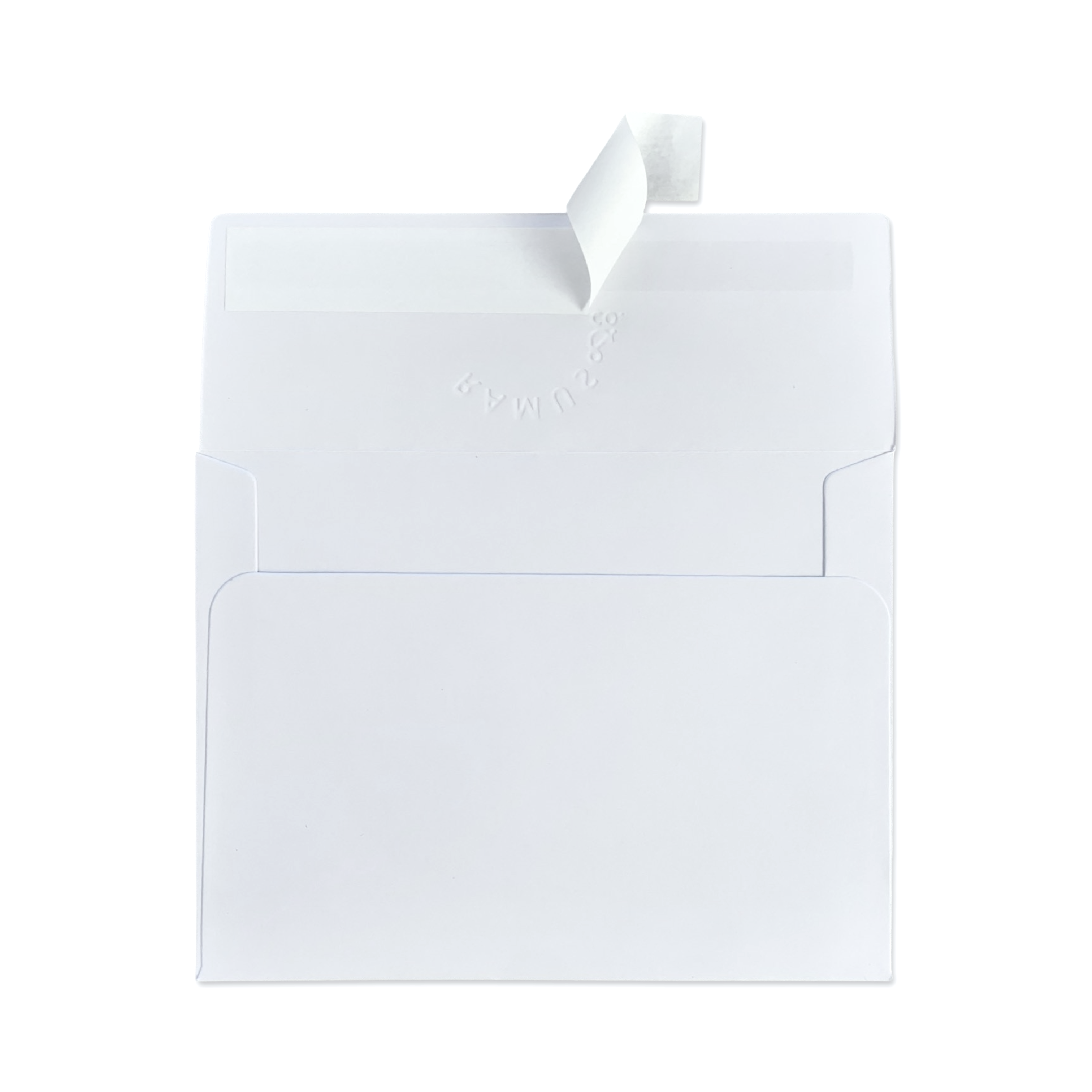 Ramus & Co. - Wholesale Birthday Card - Dog Party Greeting Card3