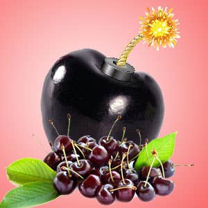 House Of Flava - Wholesale Fragrance Oil - Fragrance Tart Oils 4oz