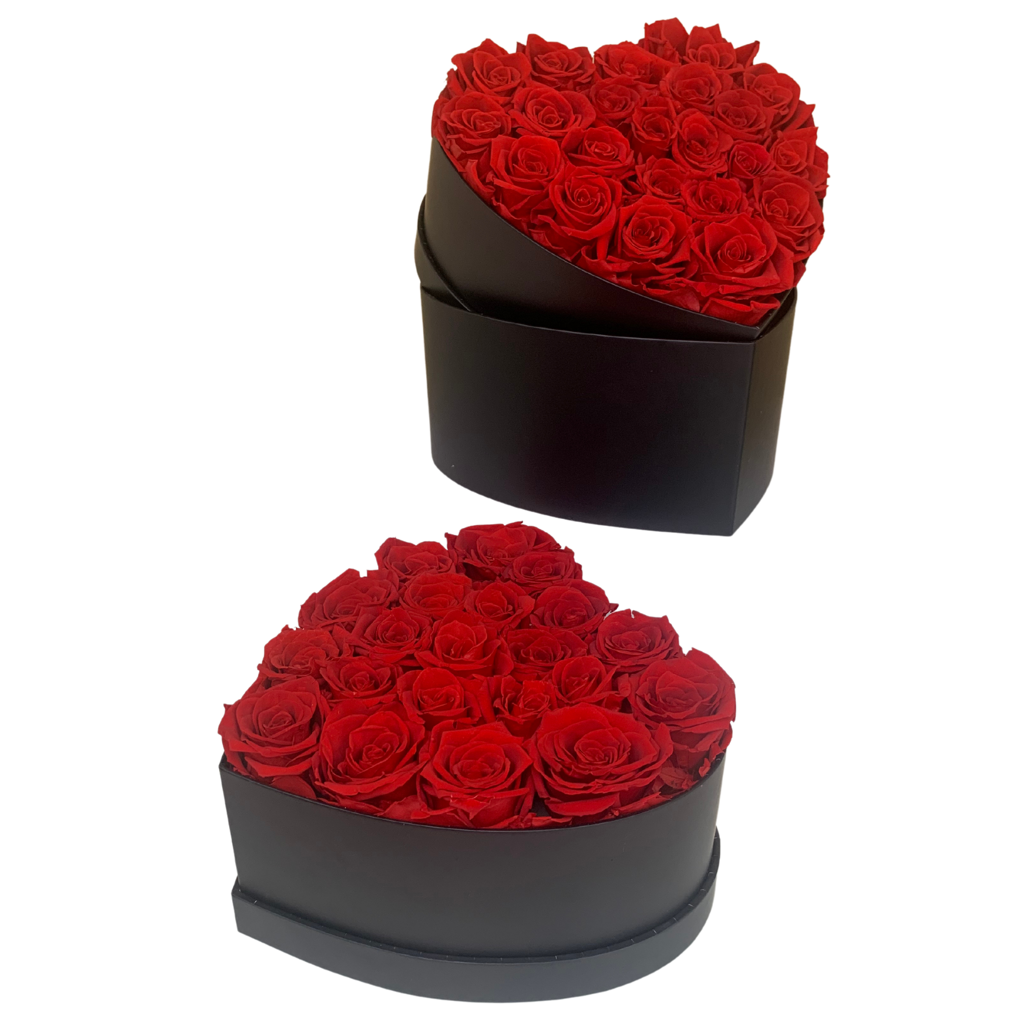 verona home and gift - Wholesale Dried/Pressed Flowers - Real Preserved Roses that Last Forever 34
