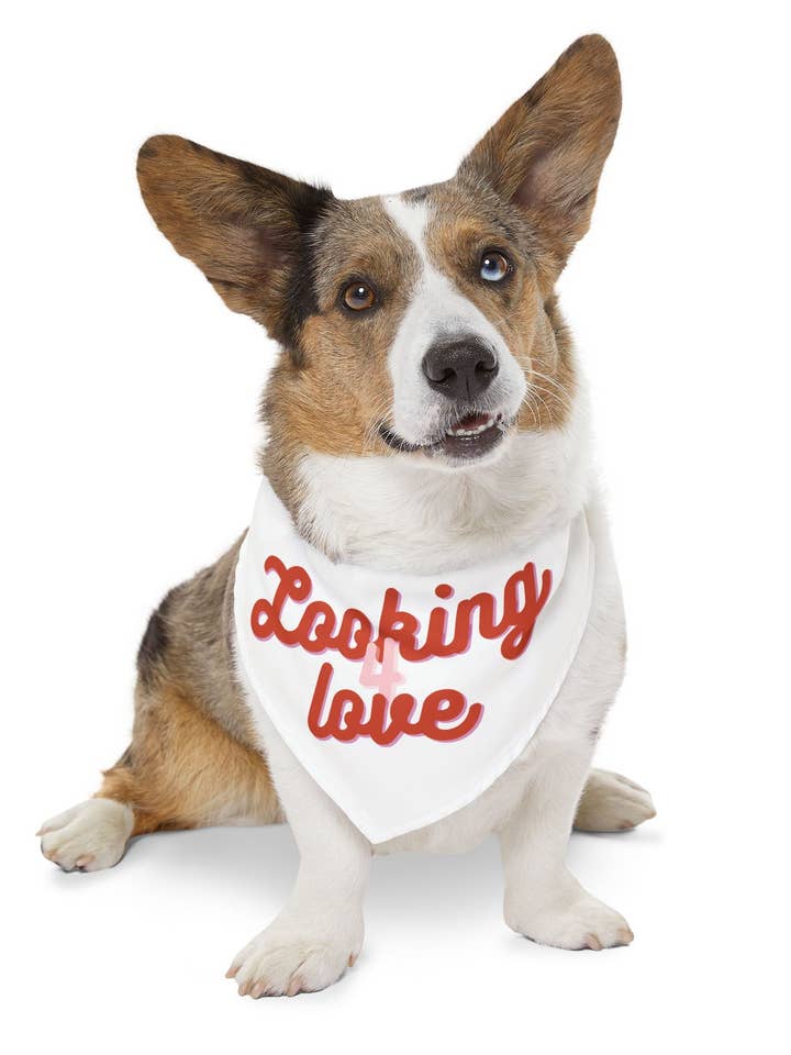 LOOKING 4 LOVE for wholesale by RescueHaus Shop