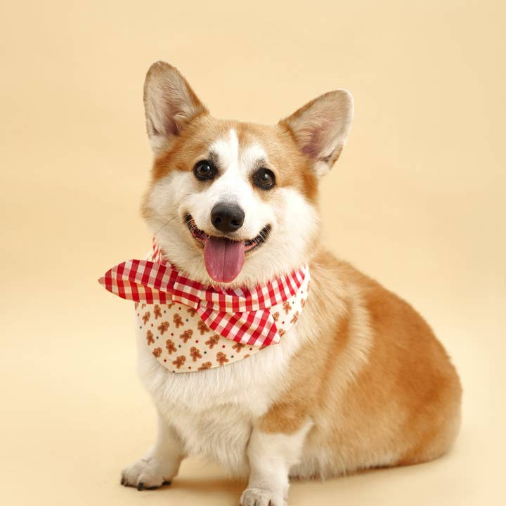 BarkBarkBaby - Venta al por mayor Coletero - Mujer - Coletero hecho a mano con estampado de hombre de jengibre y cuadros vichy de la mañana de Navidad